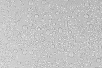 Water drops on white background texture. backdrop glass covered with drops of water. gray bubbles in water