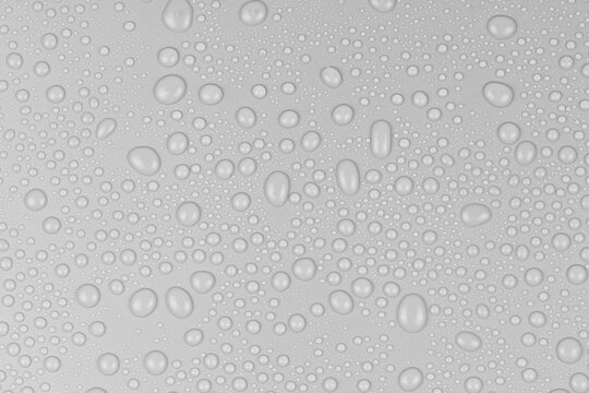 Water drops on white background texture. backdrop glass covered with drops of water. gray bubbles in water
