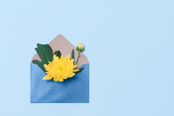 Flowers in an open envelope on pastel blue background. Blue envelope with yellow roses. Concept of sending greetings, love, friendship and joy.
