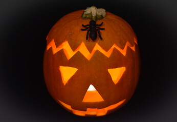 halloween jack o lantern with spider