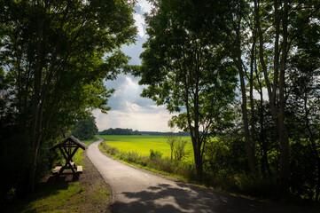 A narrow paved road next to agricultural fields near the city of Brandenburg. It's a sunny autumn day, but there are ominous storm clouds in the sky. There is a wooden bench on the left.