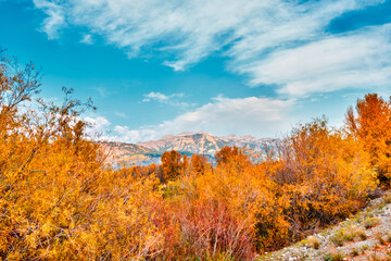 Fototapeta premium Teton mountain range Autumn landscape