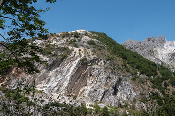 View of a Mountainside in Carrara in Summer Time with Rocks Covered by Vegetation and Trees