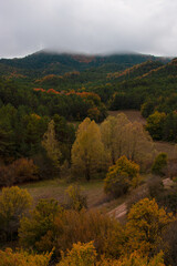 Obraz premium Bosque en Otoño