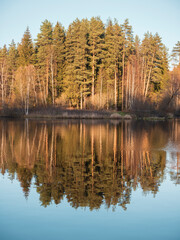 Reflection on the lake in northern Scandinavian nature. An island with a fir forest is reflected in the water of the lake.