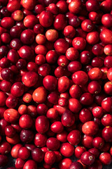 Healthy Red Organic Cranberries