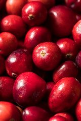 Healthy Red Organic Cranberries