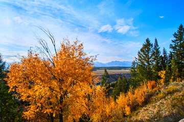 Fototapeta premium Fall colors landscape on a calm autumn evening in Grand Teton National Park