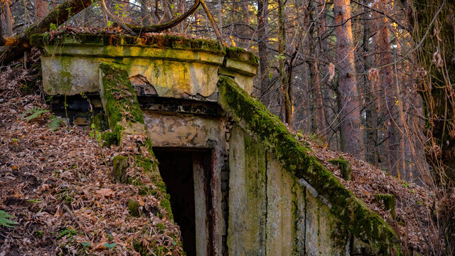Bunker in the forest.Secret entrance to the dungeon