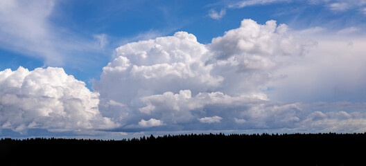 Blue sky and white clouds, wide panorama. Space,. Dark strip forest. Concept space