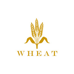 Wheat logo design inspiration, wheat with leaf vector illustration isolated on white background