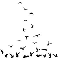 Silhouette set of flying seagulls birds on white background. Inspirational body flash tattoo ink of sea birds. Vector.