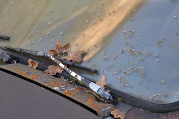 vergessene Schrottautos mit Moos und Flechten