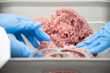 The pork is put into a minced meat grinder in the laboratory. to be used as a food precursor...