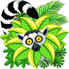 Crédence de cuisine en verre imprimé Dessiner Lemur Ring Tailed aka Lemur Catta, ou Maky, primate endémique de l& 39 île de Madagascar, en fond de jungle de feuilles vertes