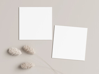 two square cards mockup with dry plant