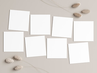 eight square cards mockup with dry plant