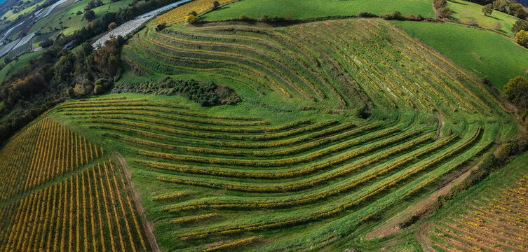 Allassac (Corr&egrave;ze, France) - La Chartroulle - Vue a&eacute;rienne des vignobles de la vall&eacute;e de la V&eacute;z&egrave;re en automne
