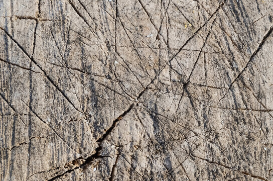 Texture of old rugged gray hemp with cracks closeup