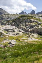 Landscape of Rila Mountain near The Scary lake, Bulgaria