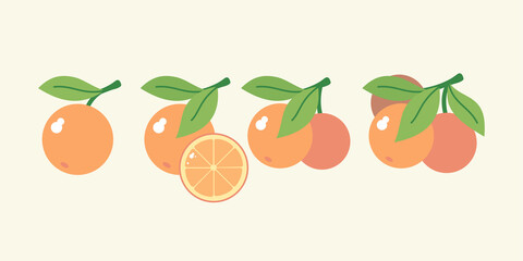 A set of orange images. Fruit on a branch with leaves. Isolated images on a light background.