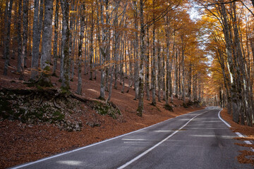 Forca d'Acero among the wonderful places to see in autumn