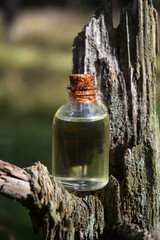 Forest aroma oil bio organic