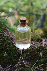 Forest aroma oil bio organic