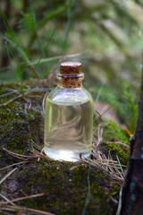 Forest aroma oil bio organic