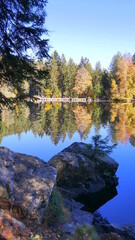 Auf dem Säbelthomaweg zum Mathisleweiher im Herbst und mit toller Spiegelung im Wasser, Hinterzarten