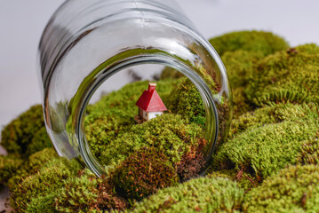 Garden scene in the terrarium in a transparent bottle with a toy and moss. Ecosystem concept. 