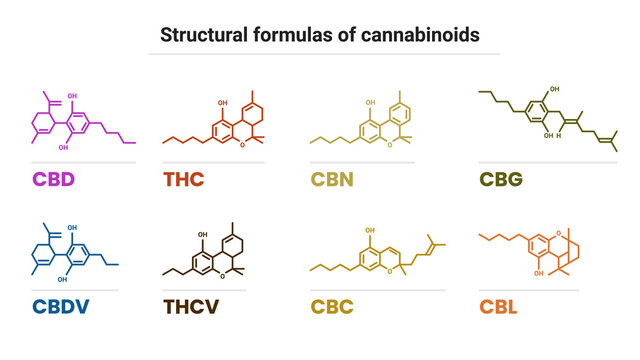Chemical formulas of natural cannabinoids: tetrahydrocannabinol, cannabidiol, cannabinol, cannabigerol, tetrahydrocannabivarin, cannabidivarin, cannabichromene, cannabicyclol. Icons are isolated on wh