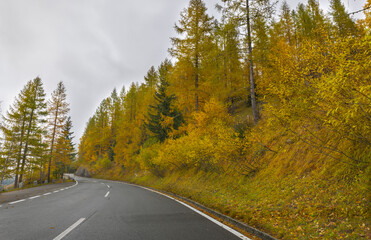 Fototapeta premium Bergstraße mit herbstlichen Lerchen.