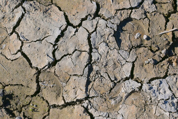 Desert Texture, hot arid desert
