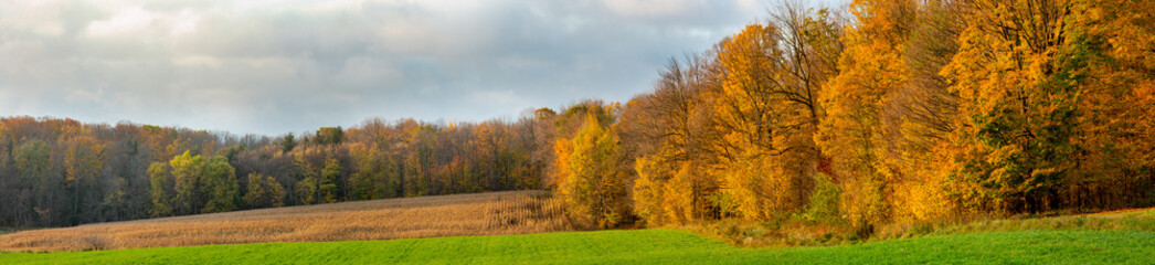 Wisconsin farmland with hay, a cornfield and a colorful forest in October