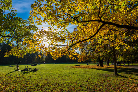 Sch&ouml;ner Herbst in M&uuml;nchen: Menschen, bunte B&auml;ume und sch&ouml;ne Wiese in der Sonne im Hirschgarten