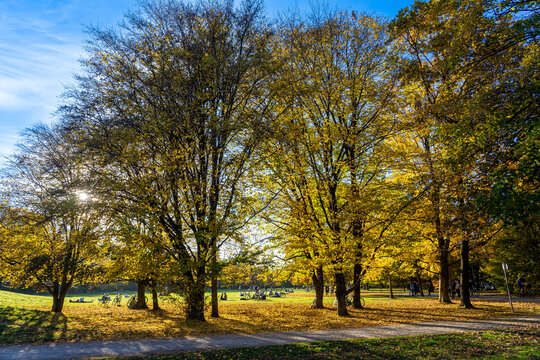 Sch&ouml;ner Herbst in M&uuml;nchen: Menschen, bunte B&auml;ume und sch&ouml;ne Wiese in der Sonne im Hirschgarten