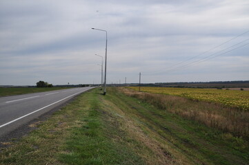 Fototapeta na wymiar Asphalt road. The road among the fields. Autumn day before the rain.