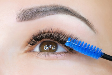 Eyelash extension procedure. Woman eye with long eyelashes.