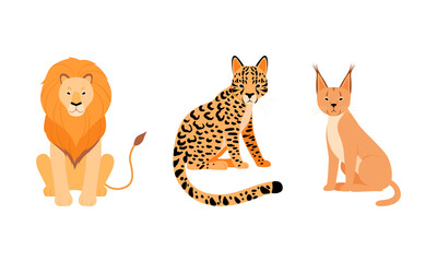 Felid or Wild Cat as Carnivore Animal with Lion and Leopard Vector Set