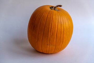 Close-up view of ripe orange Howden pumpkin (it belongs to Cucurbita pepo and looks loke small Connecticut field pumpkin) lying on white background. Healthy eating. Organic food theme.