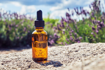 Dropper bottles of lavender essential oil. Blooming lavender bushes on background.