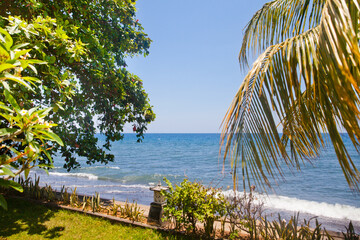 Palm leaf and tropical beach. Palm leaf on the background of the sea. Coast of the Bali island.