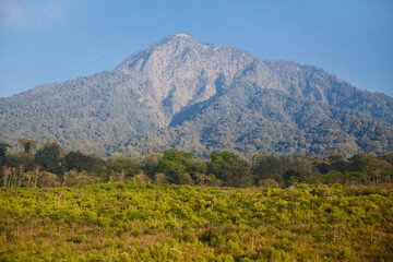 Green fields in beautiful morning view with blue mountain background. This picture taken in Central Java island,