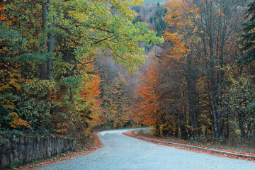 autumn on the road