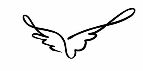 Vector drawing of wings