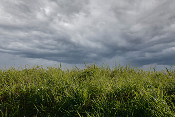 Grass and a sky with raining clouds