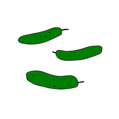 Vector outline illustration of a group green fresh cucumbers isolated on a white background