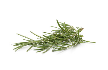 Sprig of green rosemary.