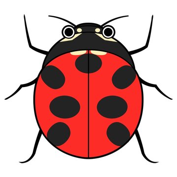 テントウムシ